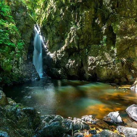 桥尾农场度假屋 *